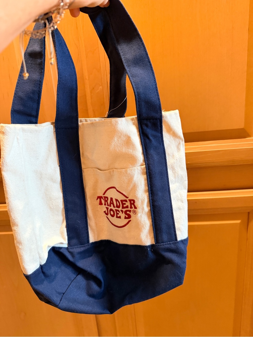 Navy and Cream Canvas Tote